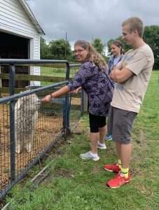 summer market days at alpaca meadows